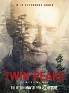 双峰 Twin Peaks