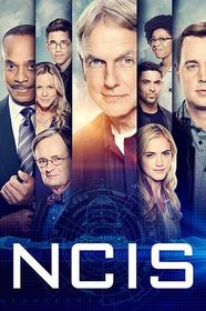 海军罪案调查处 第十六季 NCIS: Naval Criminal Investigative Service Season 16