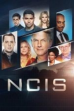 海军罪案调查处 第十七季 NCIS: Naval Criminal Investigative Service Season 17